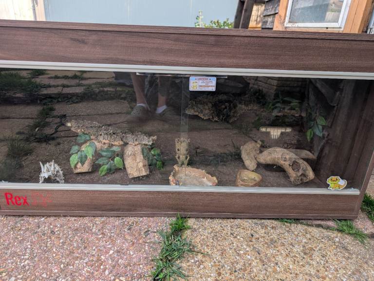 Vivexotic Vivarium and setup