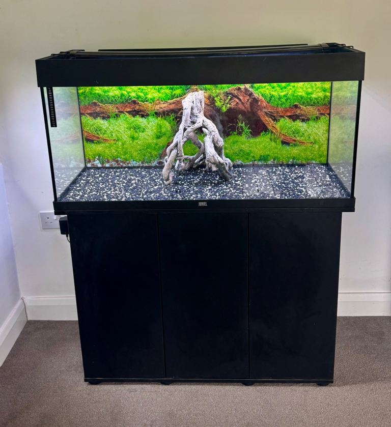 Juwel 200L Aquarium with Black Cabinet and Gravel