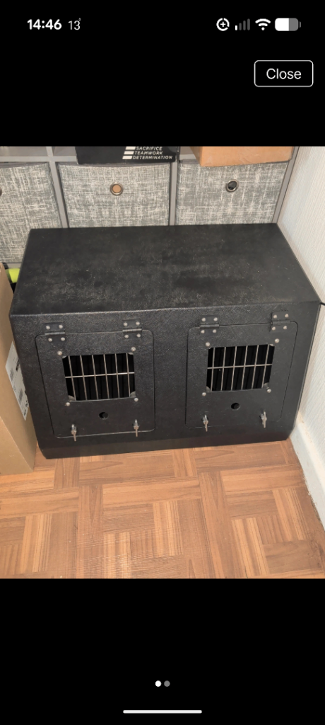 Terrier dog box