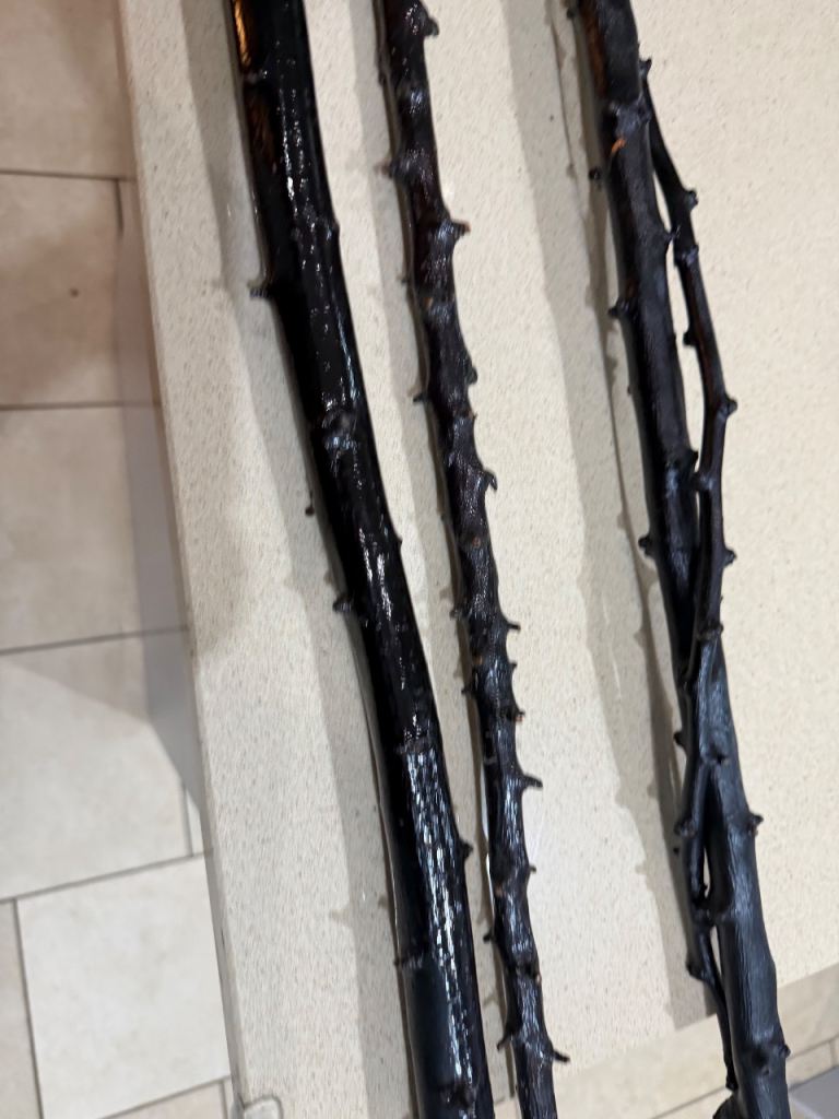 3 Blackthorn Sticks 