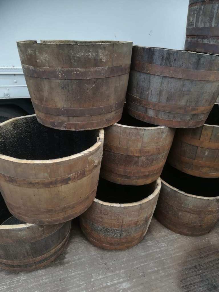 Whisky Barrel Planters 