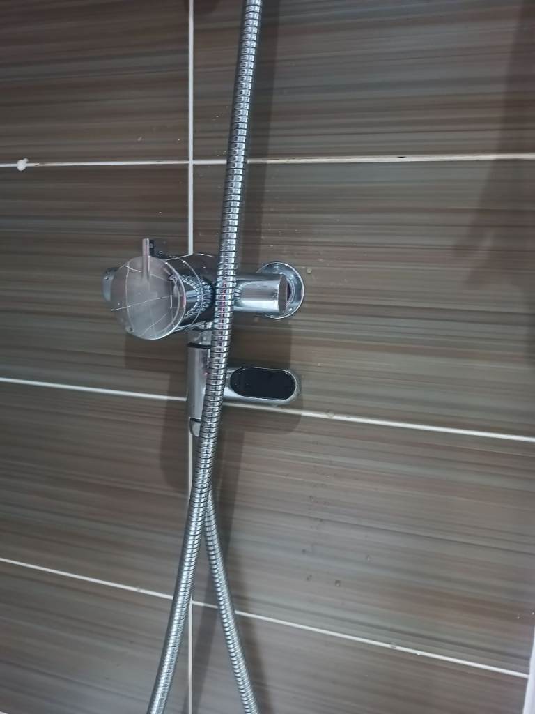 bath shower thermometer