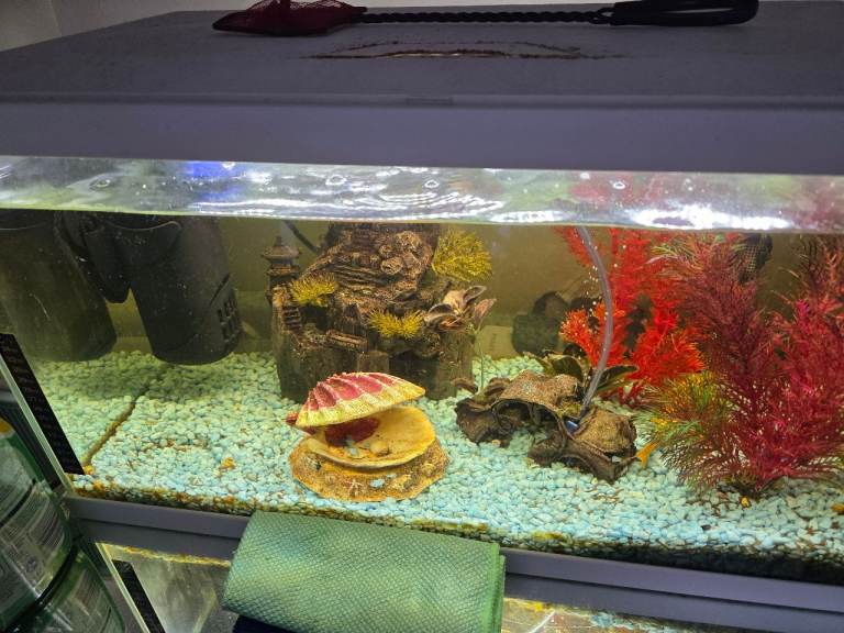 Tank 58L