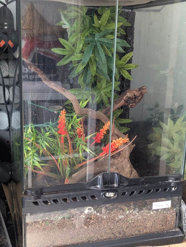 Glass Terrarium with Plants and Wood Decor