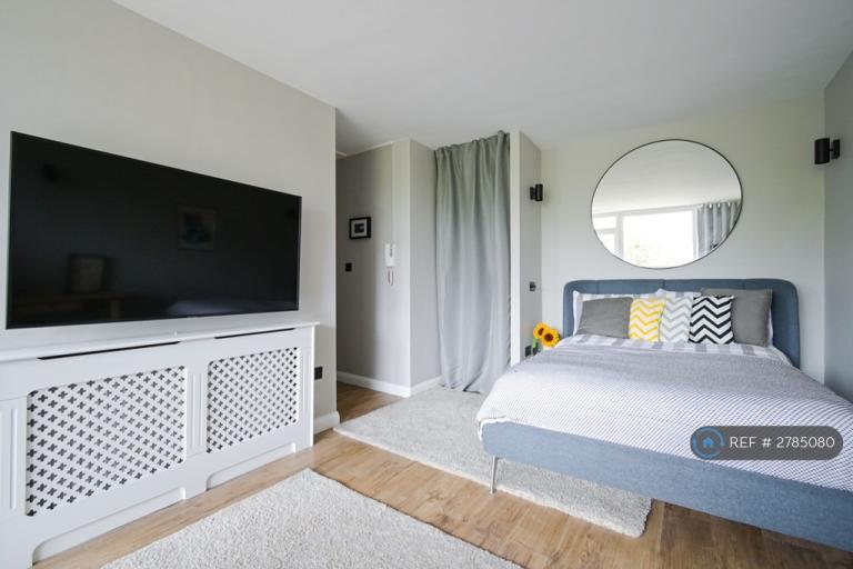 Studio flat in Vauxhall Bridge Road, London, SW1V (#2785080)