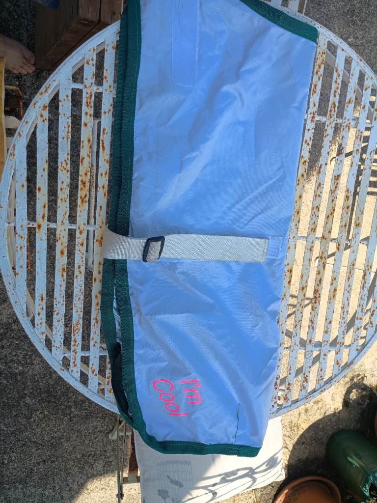 I'm Cool Reflective Dog Coat For Sunny Days - Size Large 