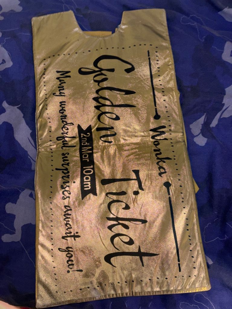 World book day costume 