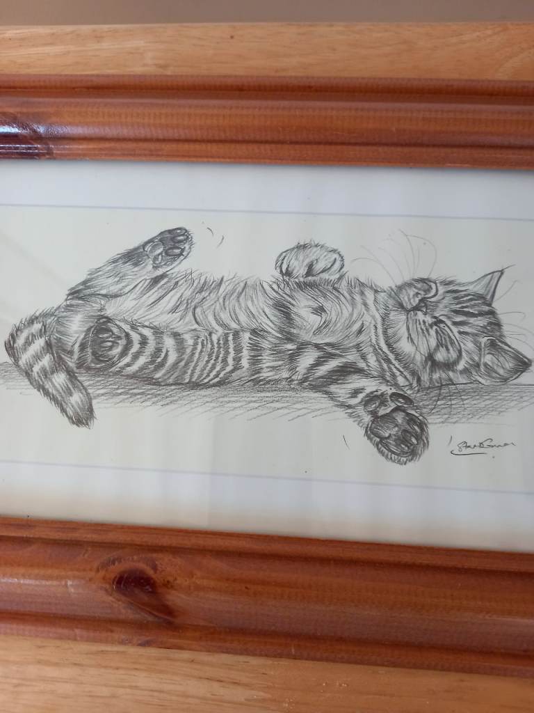 Framed kitten print