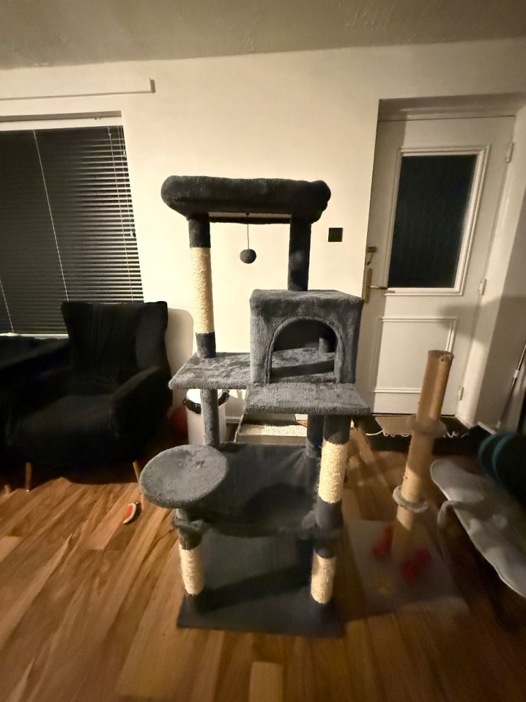 Grey Cats’ Playhouse