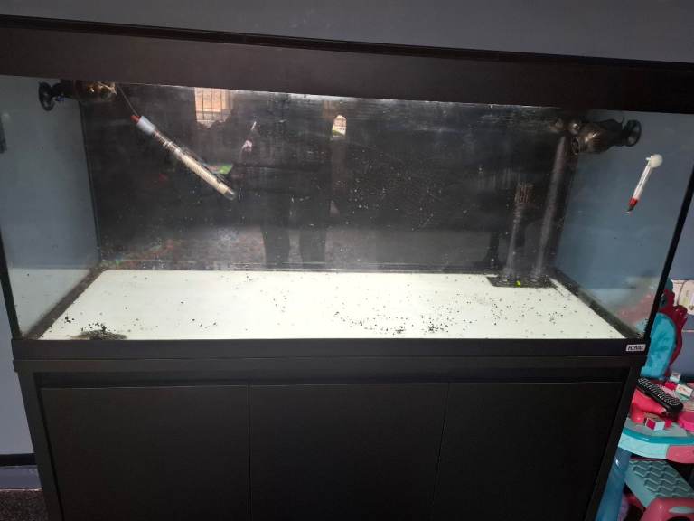 Fluval roma 240 litre fish tank/aquarium very good condition 