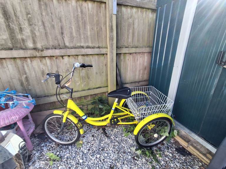 Yellow trike with basket 
