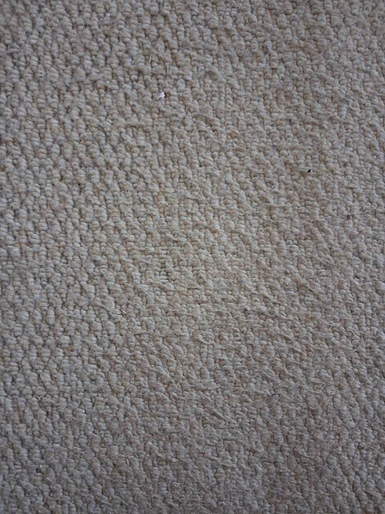 FREE used beige bedroom carpet 310 324cm