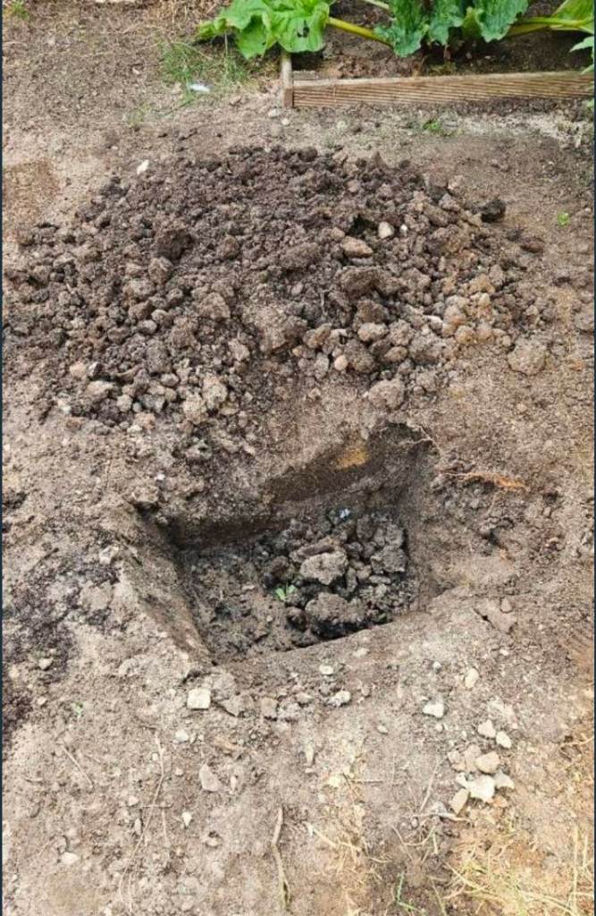 Free Garden Topsoil 
