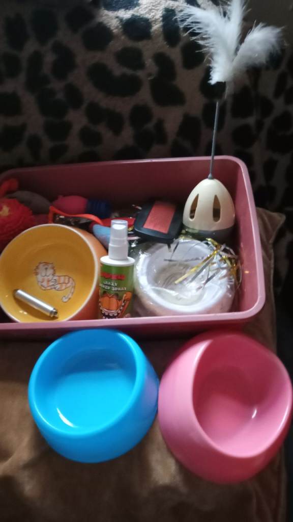 Cat bundle good condition £10 