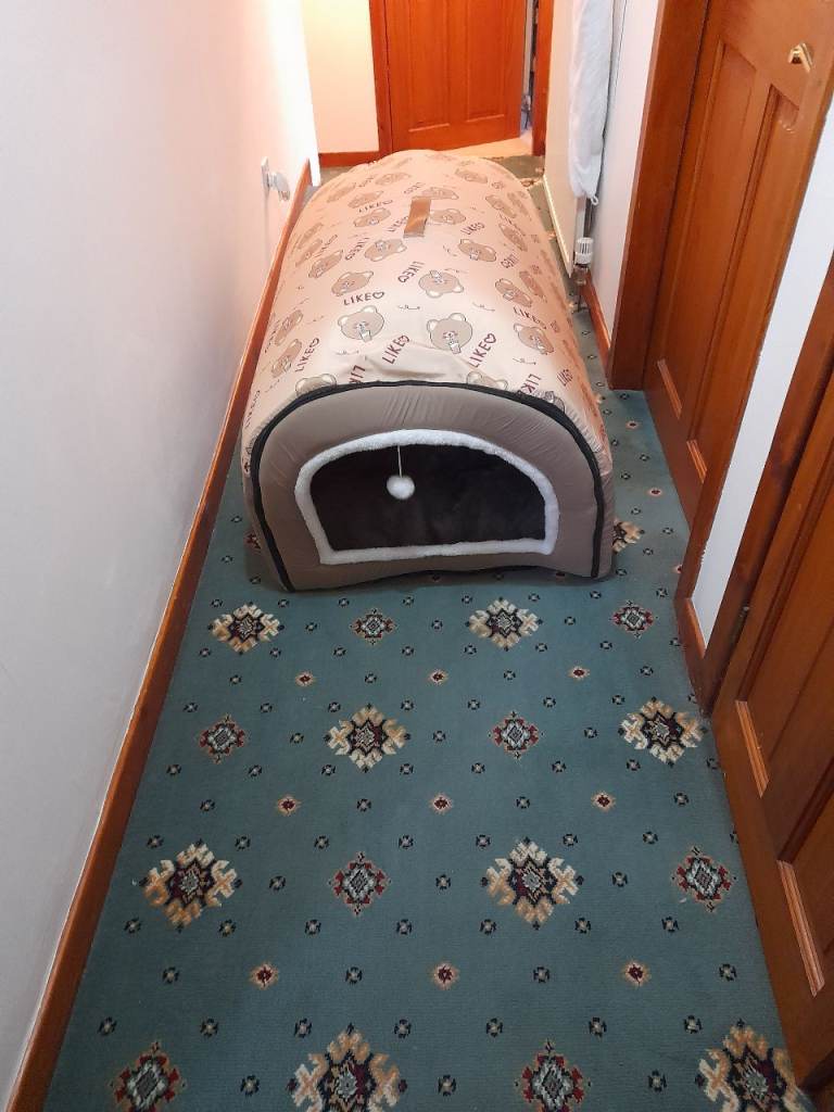 DOGS INDOOR BED