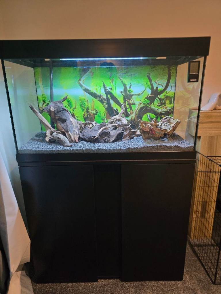 120 ltr Fish tank and accessories ( All offers considered)