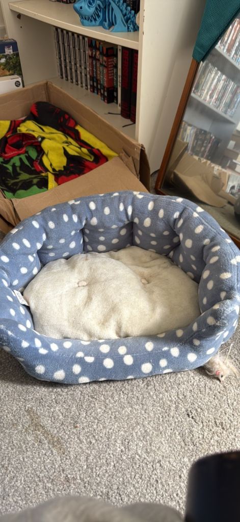 pet bed