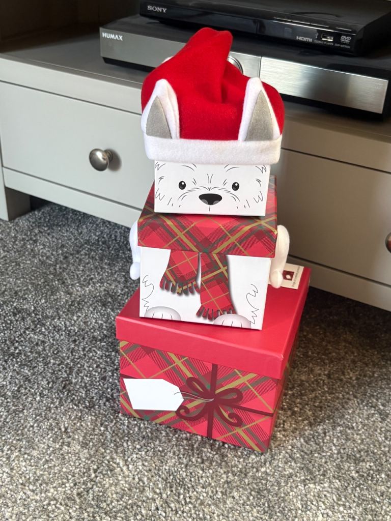 Cute Stacking Christmas Gift Boxes with Dog Design