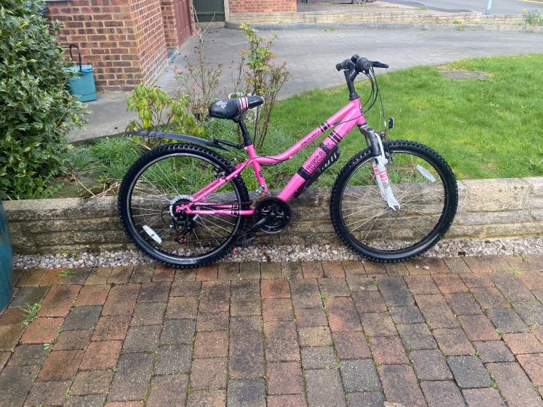 Girls 24 inch Apollo mountain bike 