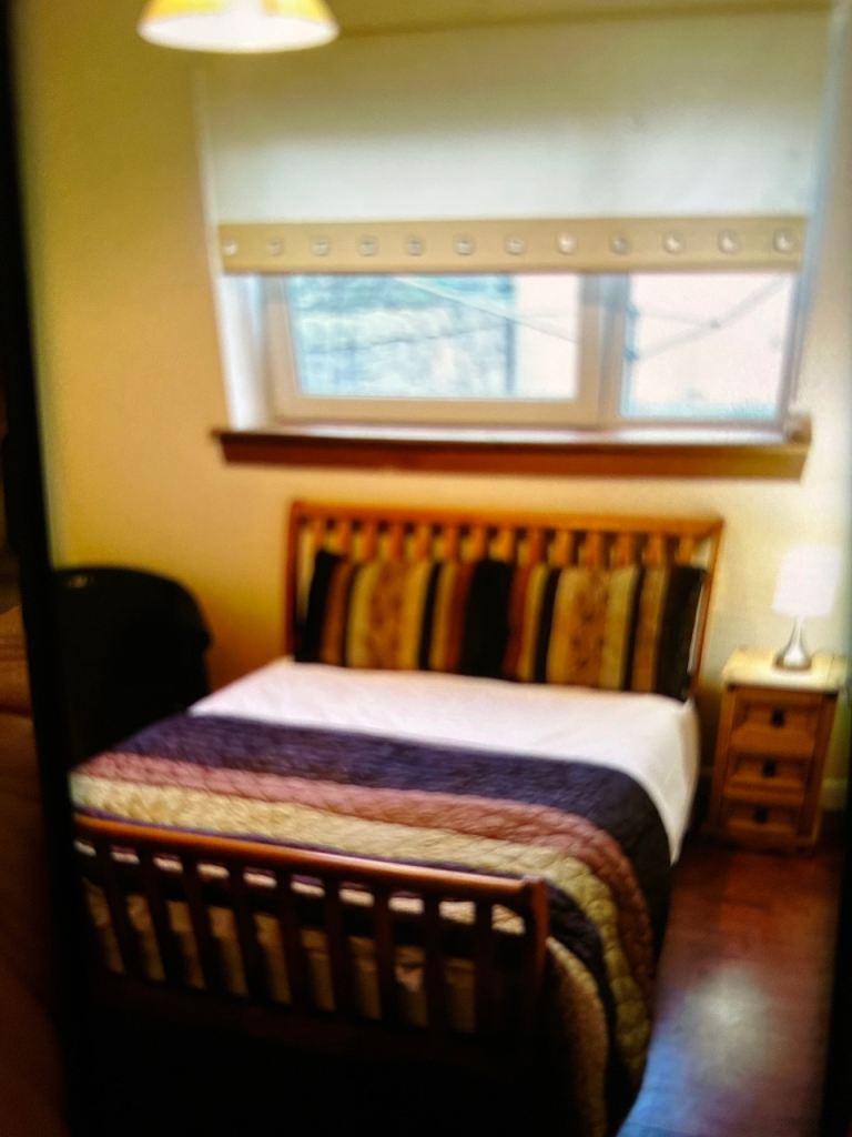 Lovely bright double room opposite botanic gardens 