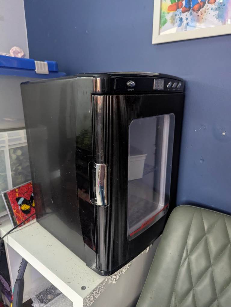 Reptile incubator 