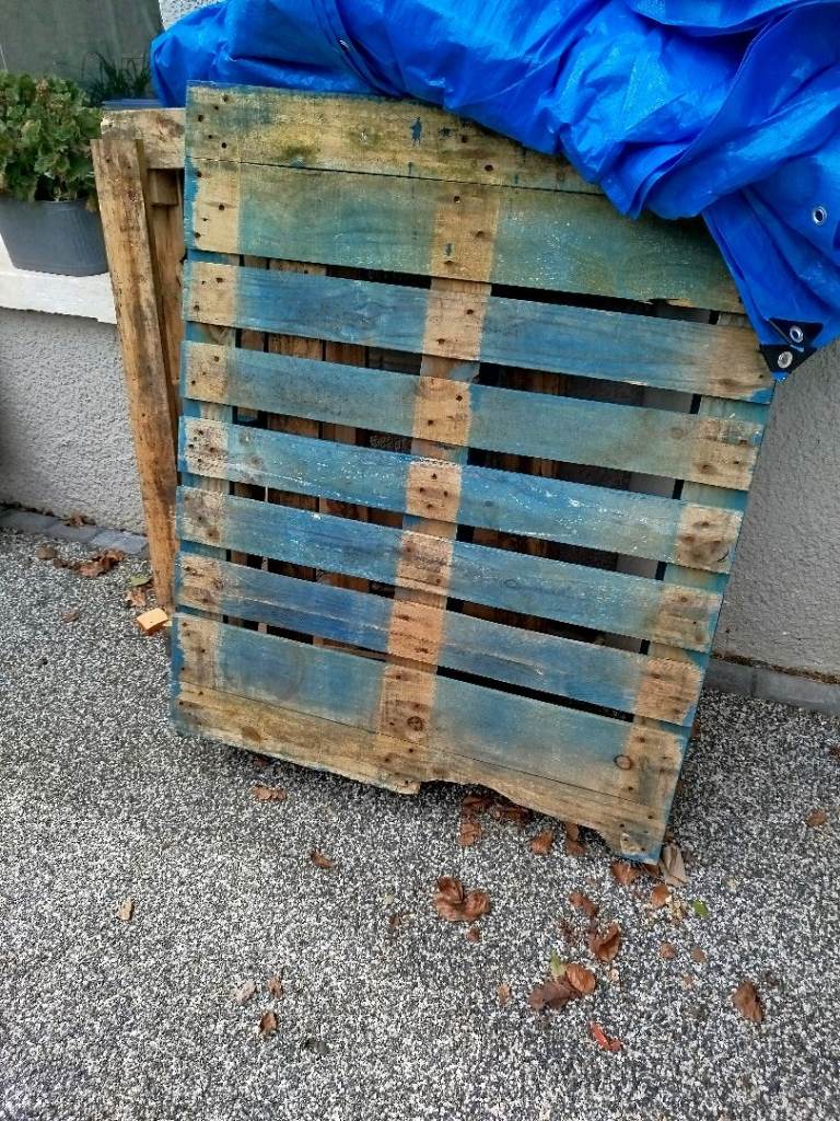 Pair of FREE Pallets