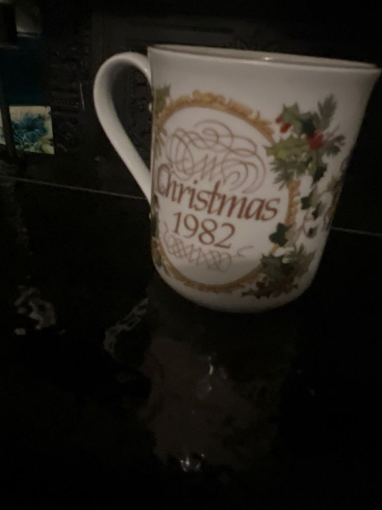 Christmas 1982 Royal Worcester  Fine Porcelain Collectors Mug. 