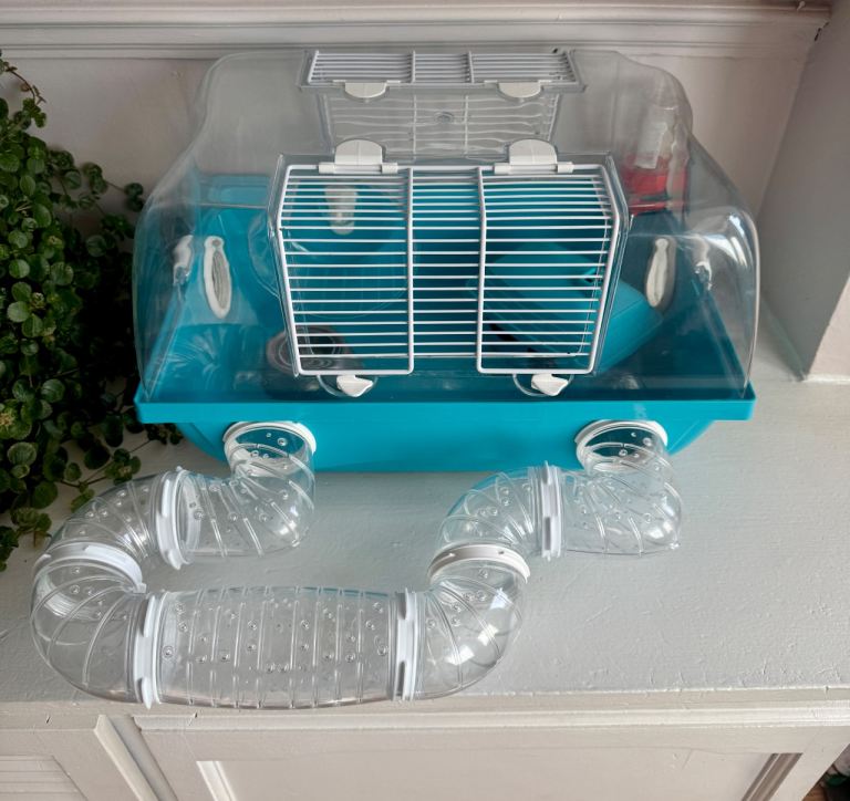 Hamster cage 