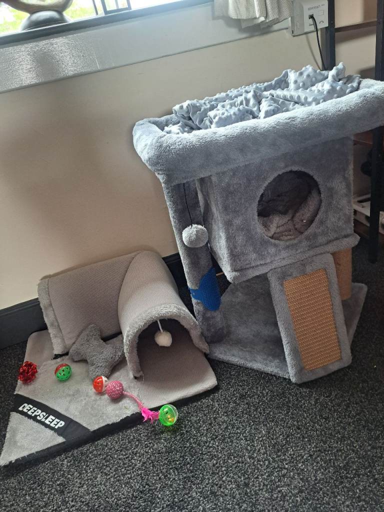 Kitten accessories tree, bed and tunnel