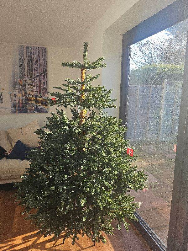 Free artificial Christmas tree