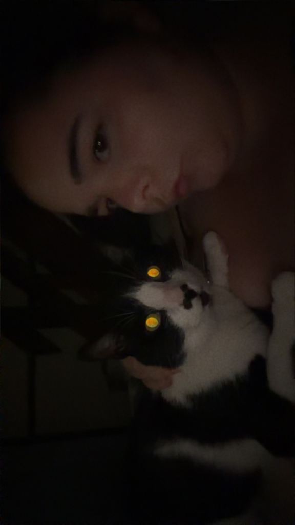 Cat for rehoming 