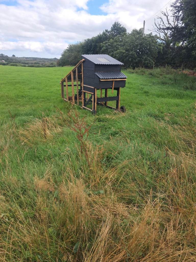 Hen House  10 by4 foot 
