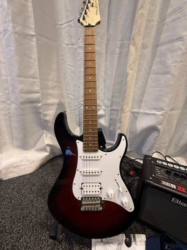 Electric guitar bundle
