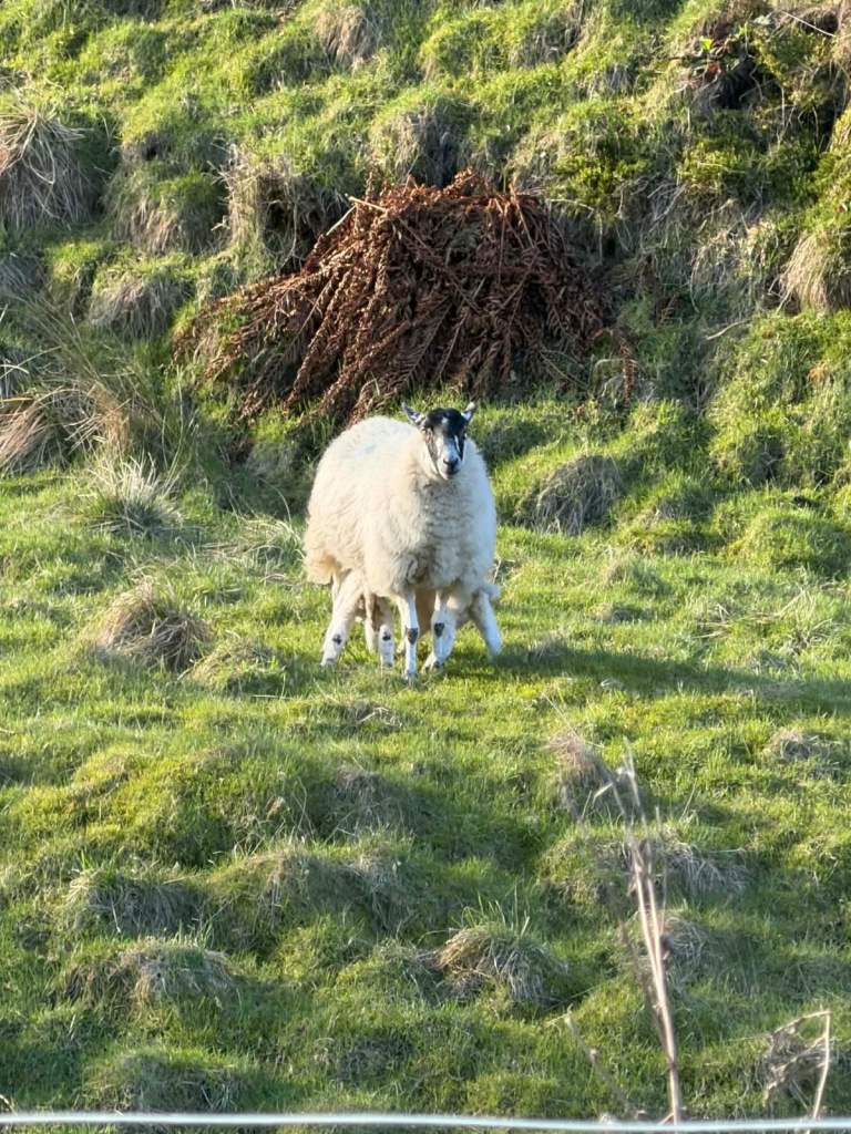 not selling. looking for