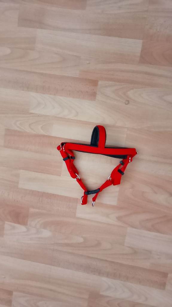 Sturdy dog harness medium 