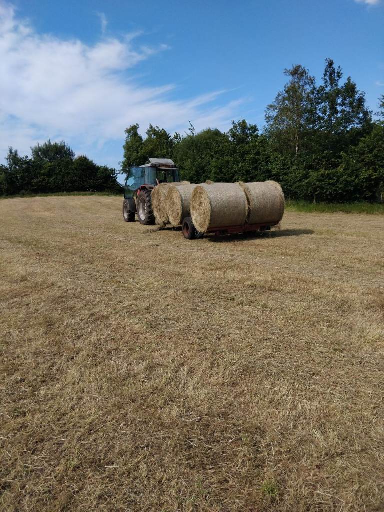 Hay and haylage 
