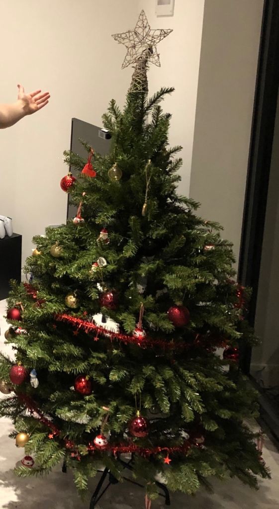 FREE CHRISTMAS TREE!