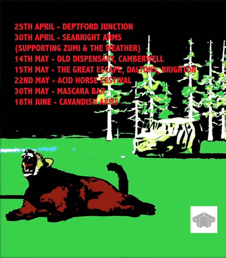 Drummer needed for Golden toad