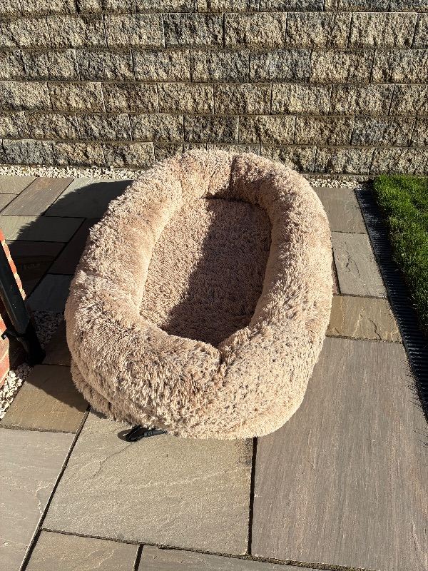 Giant Dog Bed