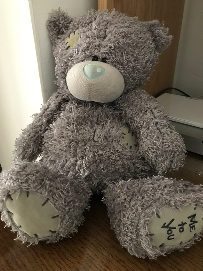 New Soft Grey Bear Pyjamas/Nightie Case
