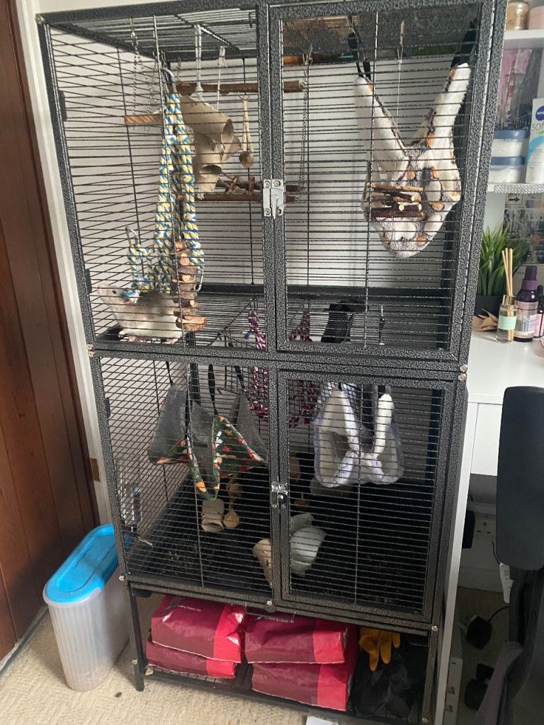 Rat Cage & Accessories 