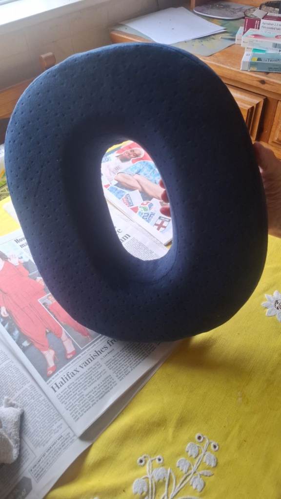 Blue Donut Cushion – Good Condition