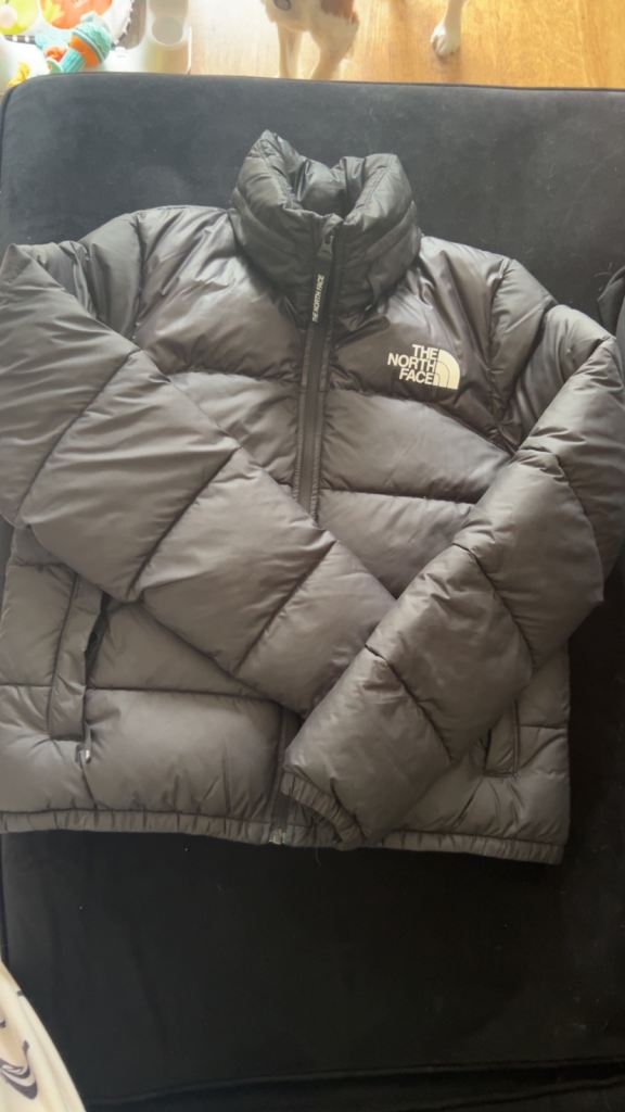 The North Face Puffer Jacket - Women's Small, black
