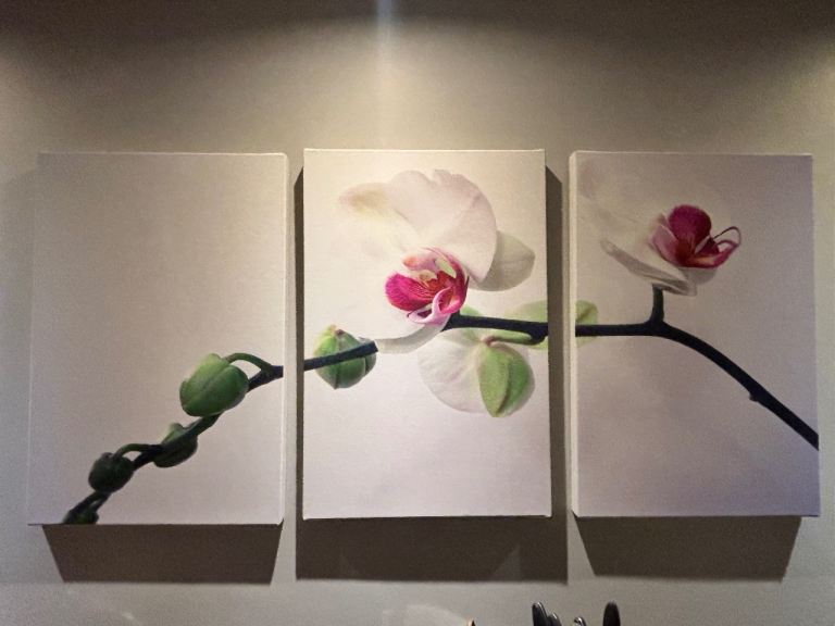 3 original limited edition canvas prints 