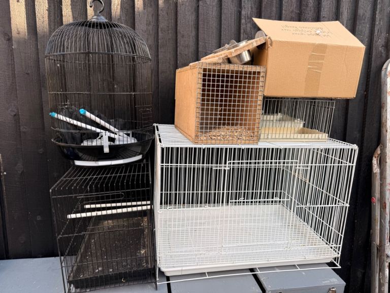 Bird cage and feeder bundle 