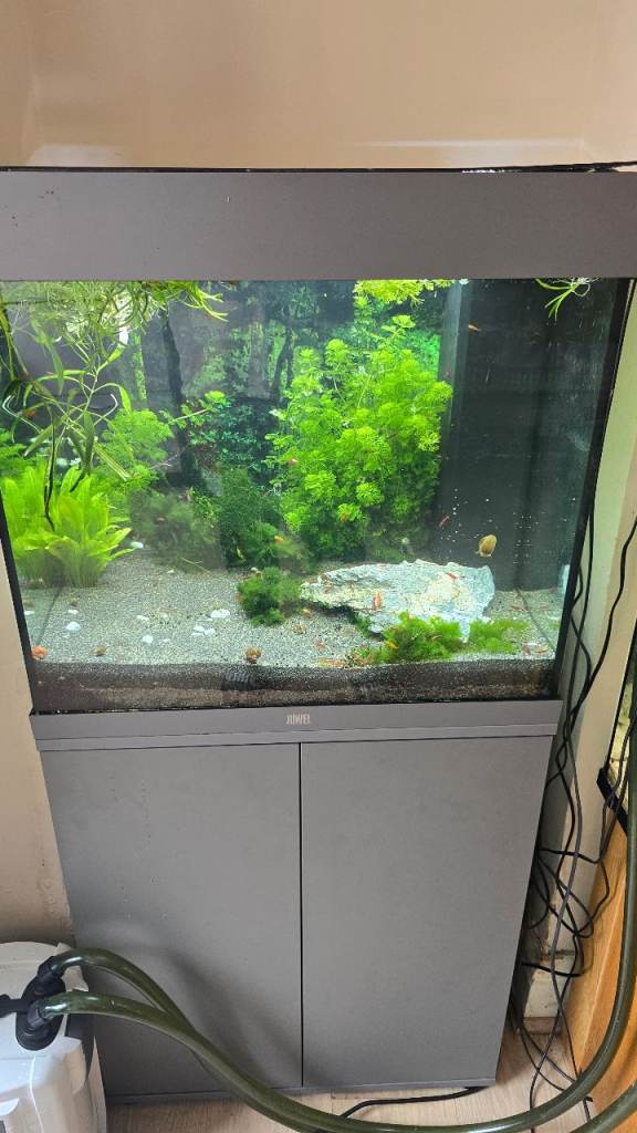 Aquarium full set ups