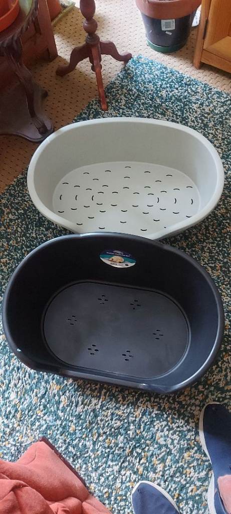 FREE dog beds x 2 