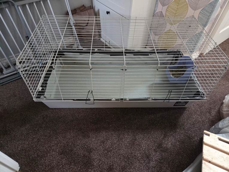 Guinea pig/rabbit cage