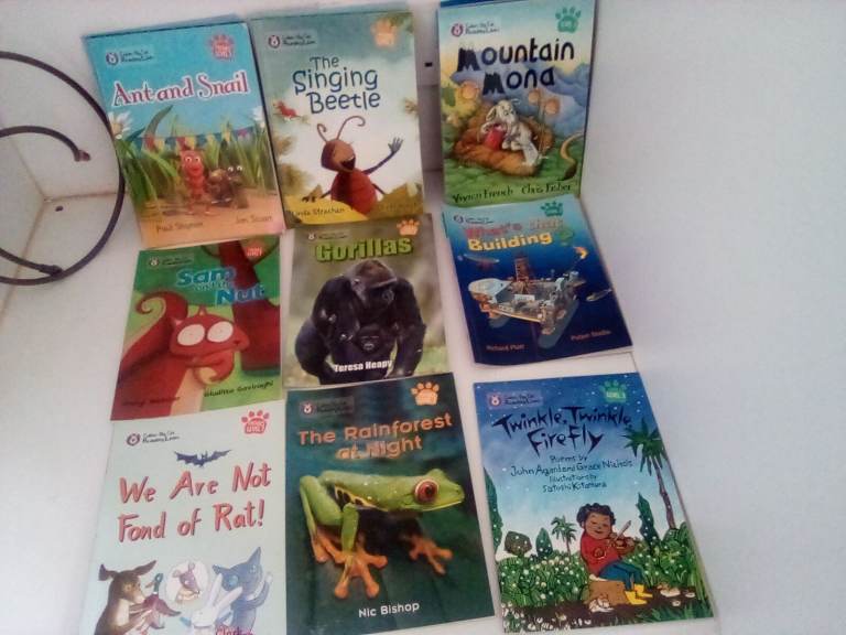 Childrens learning to read books, pre school and early school