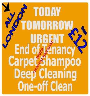 End of Tenancy & Carpet Cleaning Services - Oven, One-Off, Upholstery & Deep Domestic House Cleaners